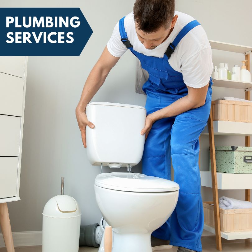 Plumbing Company in Nanticoke, MD